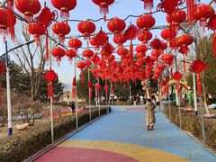 -青龙湖公园