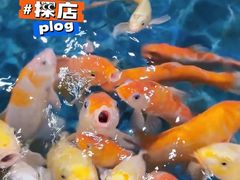-西安曲江海洋极地公园