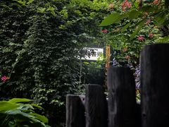 -斯多格书乡(北京大学畅春园店)