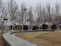 -九十九顶毡房(阜石路店)