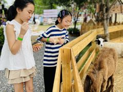 -HERRE·FARM 赫尔露营农场·团建聚会包场