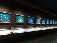 -青岛贝壳博物馆