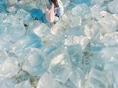 -长春市南湖公园