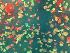 -江和美海洋公园