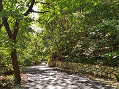 -大连天门山国家森林公园