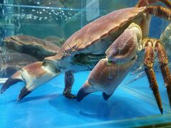 -老码头海鲜烧烤炒菜(广西路店)