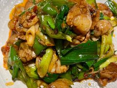 回锅肉-永乐饭店