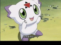 -庐州太太(南七里店)