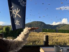 -和顺古镇