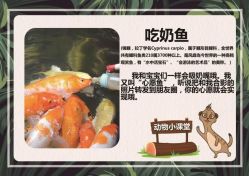 -酷嗒动物文化乐园(cutezoo西溪乐天城店)