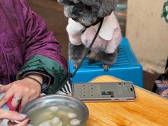 -陈阿婆叉粿条(大小街店)