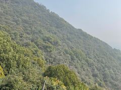 -杭州半山国家森林公园