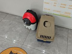 -瑞鹏宠物医院·骨外科·心肾科·肿瘤科(九亭店)