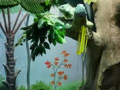 -石家庄市动物园