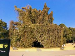 -上海月湖雕塑公园