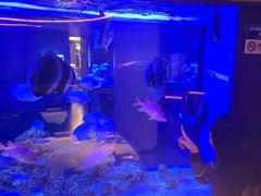 -上和臻品中国菜(花园街店)