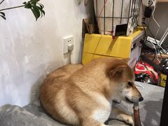 -About Bistro關於·泰式家庭料理