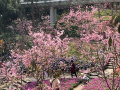 -狐尾山公园