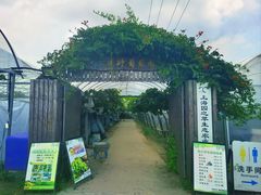 -嘉北郊野公园