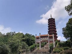 -大雁山风景区