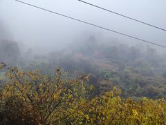 -秦岭终南山世界地质公园翠华山景区