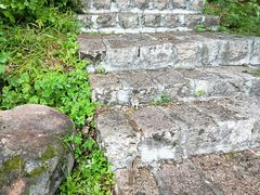 -五营红松林海景区