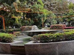 -岷山饭店-芝芝自助餐厅