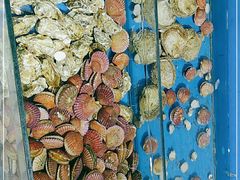 -桔子海鲜烧烤大排档(金沙滩店)