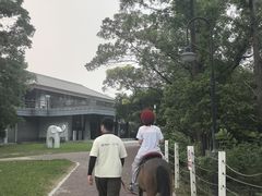 -金鸡湖桃花岛