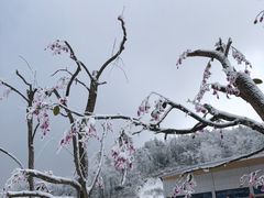 -广元曾家山国际滑雪场