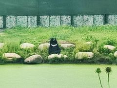 -上海野生动物园