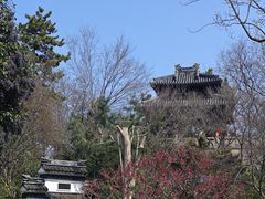 -红梅公园