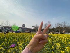 -国际非物质文化遗产博览园