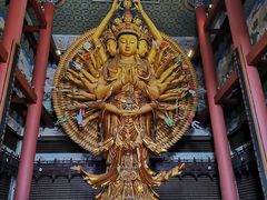 -上海东林寺(金山区)