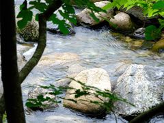 -石台牯牛降景区