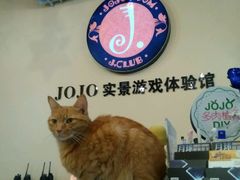 -JOJO实景沉浸侦探剧本杀(大悦城店)
