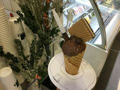 -N2怪咖冰淇淋(金安店)