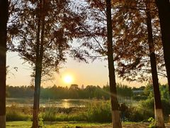 -白鹭湾湿地公园