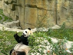-上海野生动物园