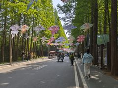 -日照海滨国家森林公园