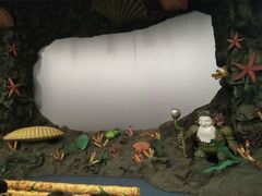 -芽庄珍珠岛游乐园