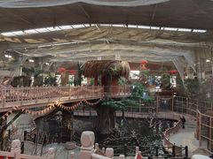 -南宫五洲植物乐园