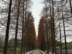 -圩墩遗址公园