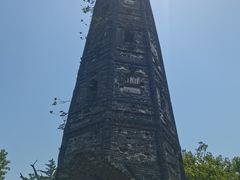 -上海佘山国家森林公园天马山园