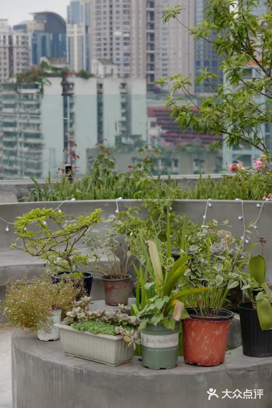 #不分享，只私藏#城市特辑——探秘重庆民宿