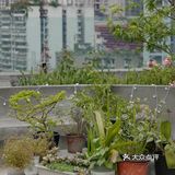 #不分享，只私藏#城市特辑——探秘重庆民宿