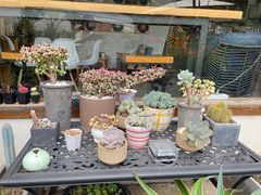 -她说户外烧烤团建(西湖店)