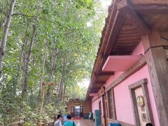 -郑州方特水上乐园