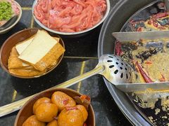 -肥龙火锅(南坪店)