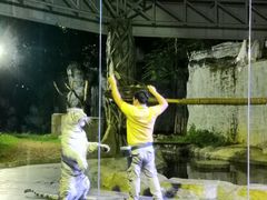 -清迈夜间动物园